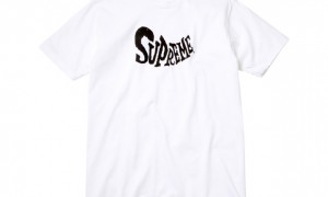 supreme-2010-fall-winter-49