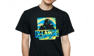 xlarge_2011_summer_04