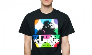 xlarge_2011_summer_07