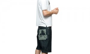 xlarge_2011_summer_09