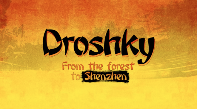 DROSHKYSKATEBOARDS (1)