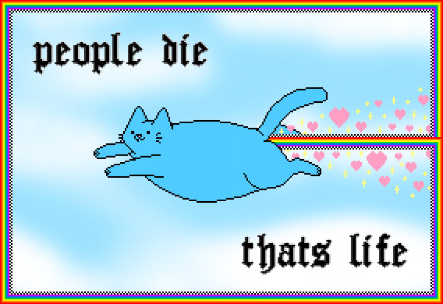 cats rainbow pixel people dee